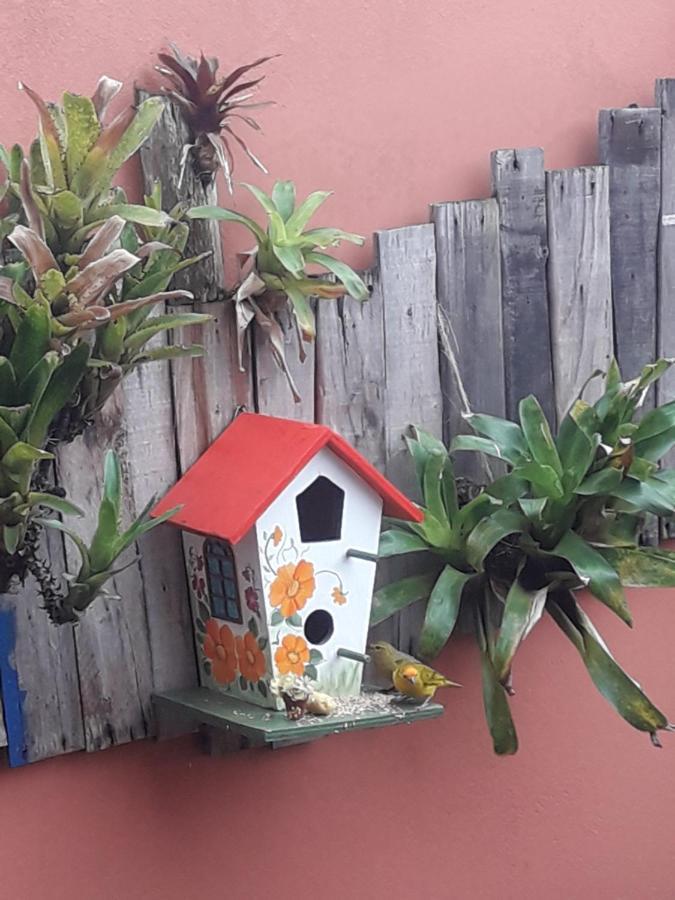 Casa Indaia Bnb - Casa Compartilhada Caraguatatuba Luaran gambar
