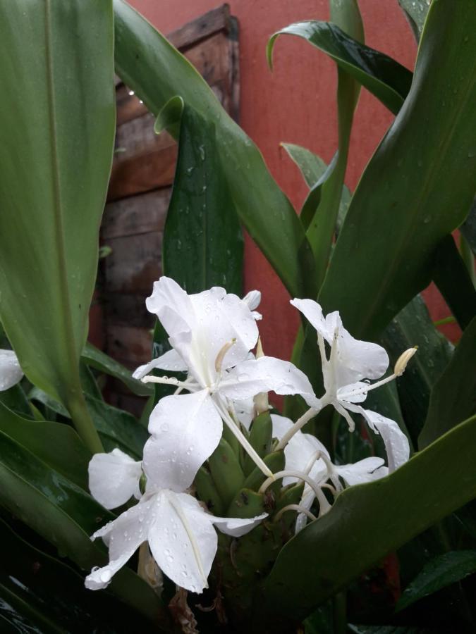 Casa Indaia Bnb - Casa Compartilhada Caraguatatuba Luaran gambar