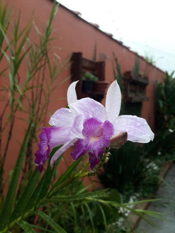 Casa Indaia Bnb - Casa Compartilhada Caraguatatuba Luaran gambar