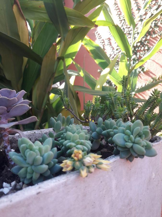Casa Indaia Bnb - Casa Compartilhada Caraguatatuba Luaran gambar